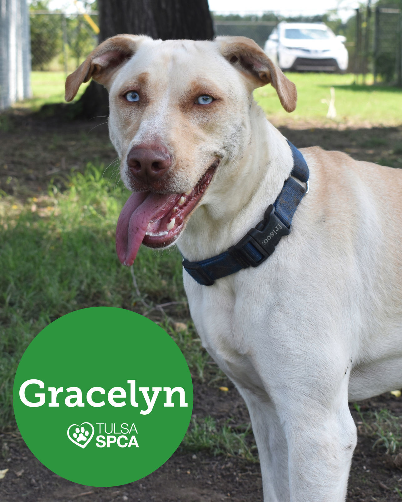 Gracelyn
